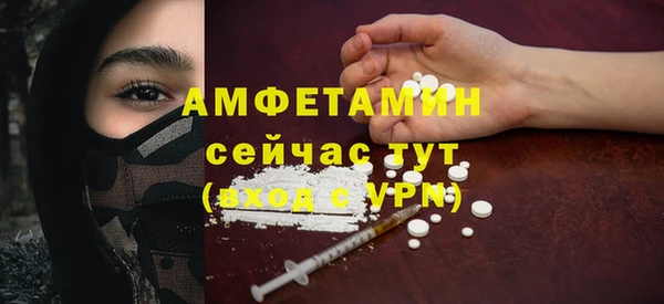 шишки Белоозёрский