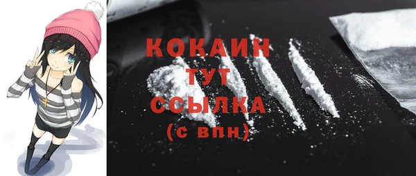 шишки Белоозёрский