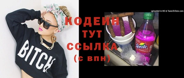 шишки Белоозёрский