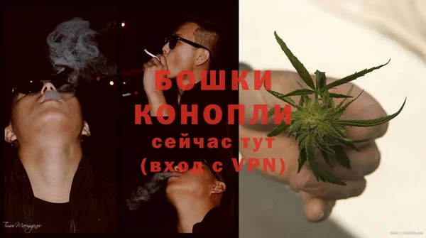 хмурый Туринск