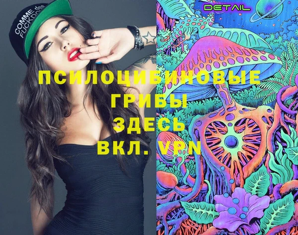 шишки Белоозёрский