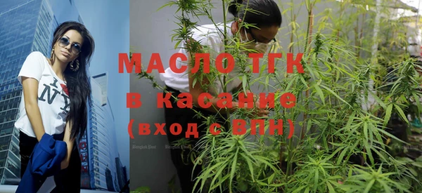 шишки Тында