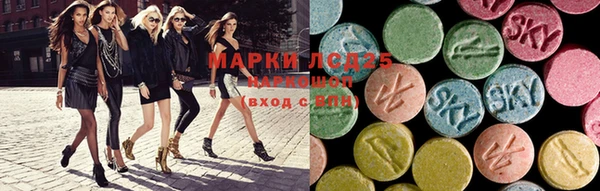 шишки Белоозёрский