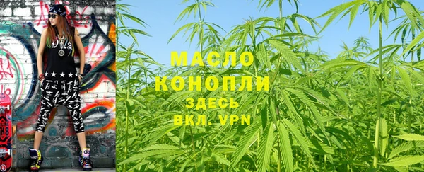 шишки Белоозёрский