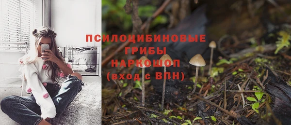 шишки Белоозёрский