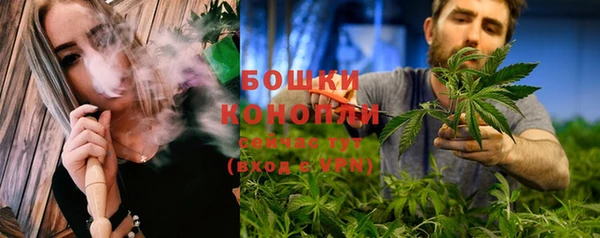 шишки Белоозёрский