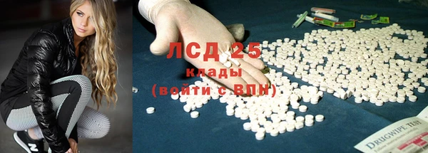 шишки Белоозёрский